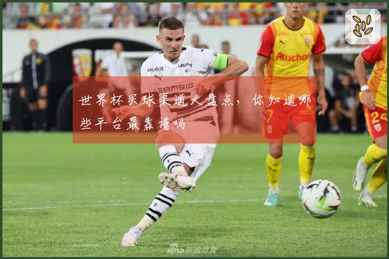 世界杯买球渠道大盘点，你知道哪些平台最靠谱吗