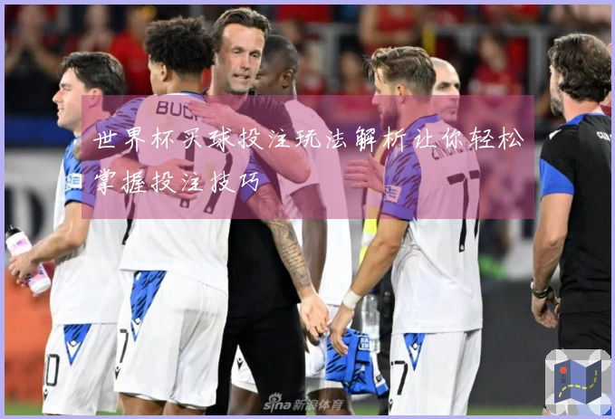 世界杯买球投注玩法解析让你轻松掌握投注技巧