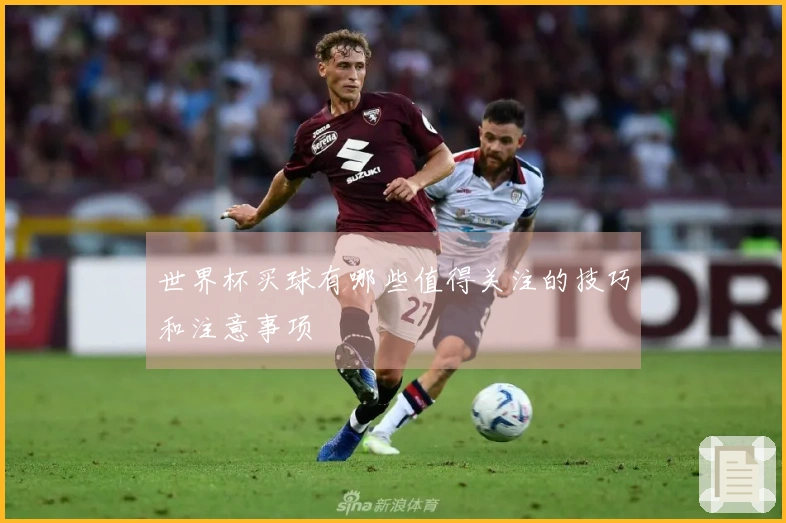 世界杯买球有哪些值得关注的技巧和注意事项