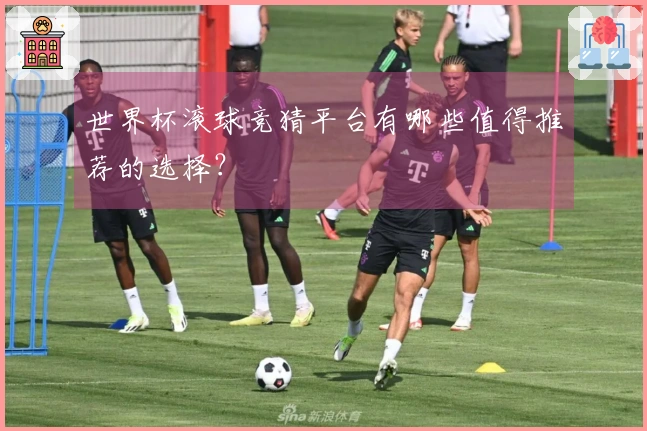 世界杯滚球竞猜平台有哪些值得推荐的选择？
