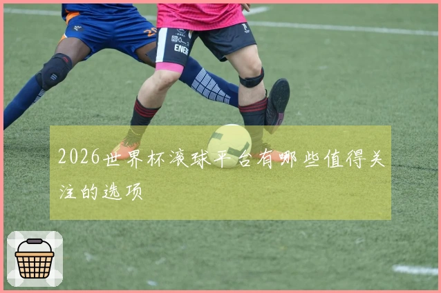 2026世界杯滚球平台有哪些值得关注的选项