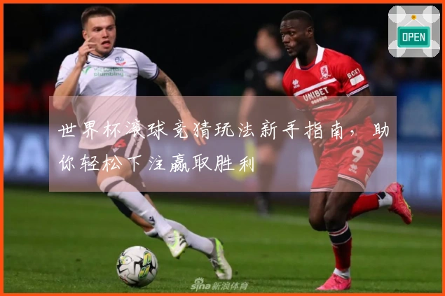 世界杯滚球竞猜玩法新手指南，助你轻松下注赢取胜利