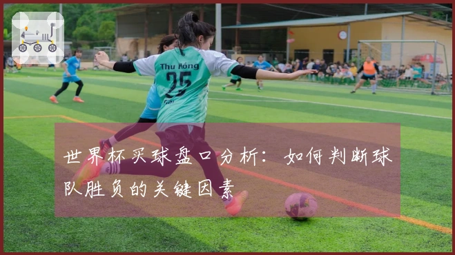 世界杯买球盘口分析：如何判断球队胜负的关键因素