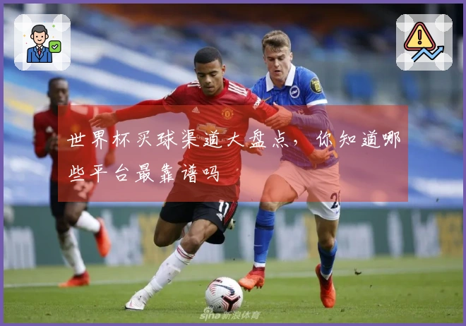世界杯买球渠道大盘点，你知道哪些平台最靠谱吗