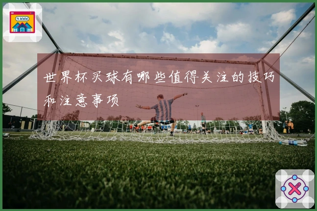 世界杯买球有哪些值得关注的技巧和注意事项